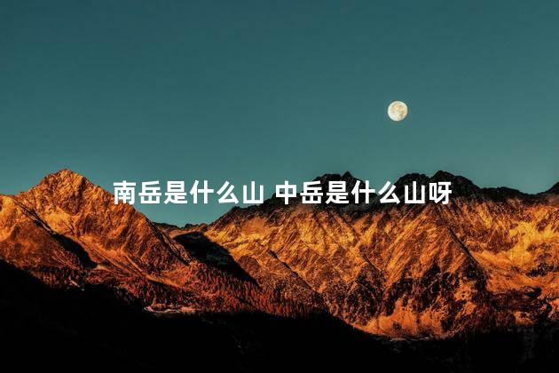 南岳是什么山 中岳是什么山呀